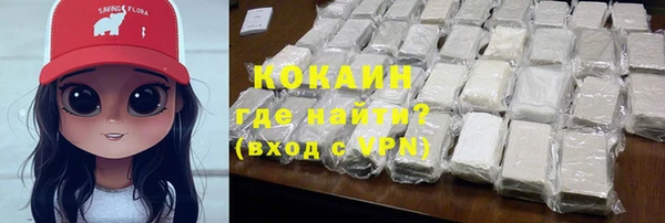 PSILOCYBIN Вяземский