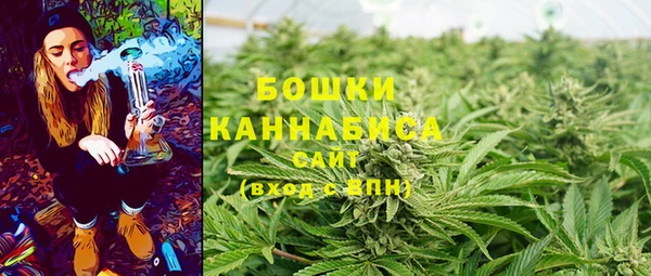 PSILOCYBIN Вяземский