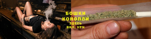 PSILOCYBIN Вяземский