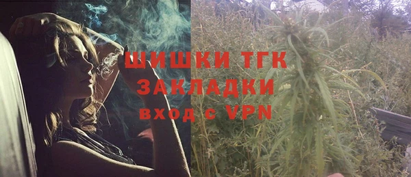 PSILOCYBIN Вяземский