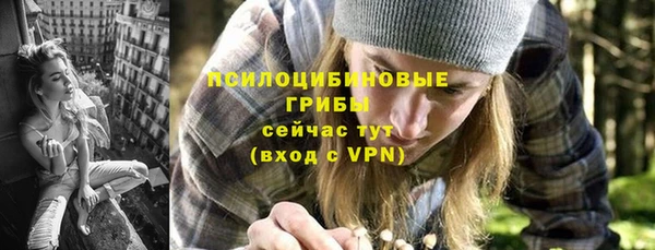 PSILOCYBIN Вяземский
