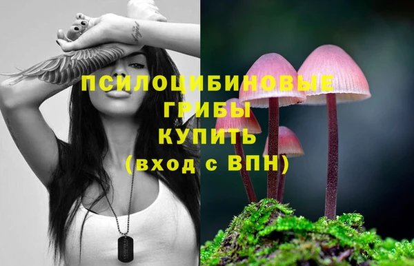 PSILOCYBIN Вяземский