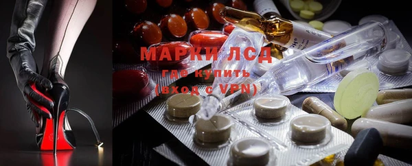 PSILOCYBIN Вяземский