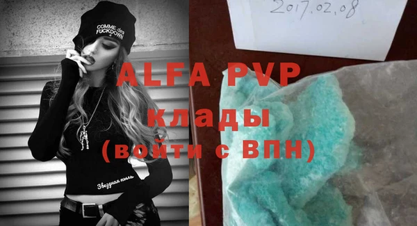 PSILOCYBIN Вяземский