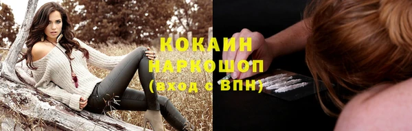 PSILOCYBIN Вяземский