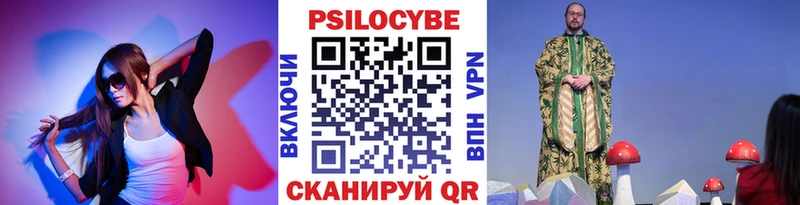 Купить Очёр Галлюциногенные грибы мицелий